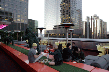 DS-DO-roof-food-view.gif
