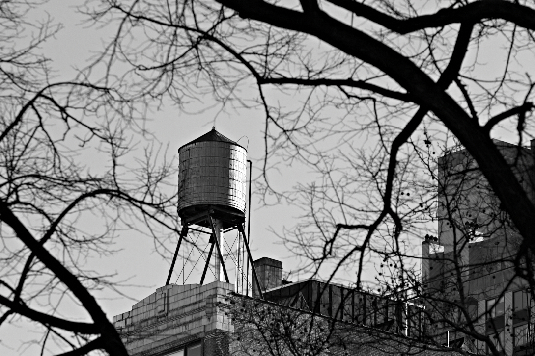 _MG_1304.jpg