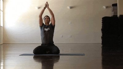 tumblr_m79k7nlBo81rysr6eo1_400.gif